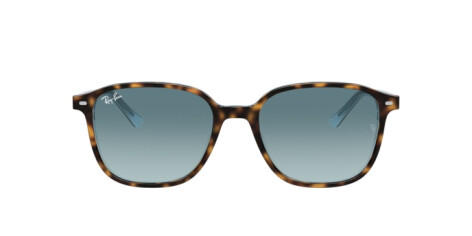 Ray-Ban Leonard RB 2193 (13163M)