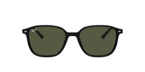 Ray-Ban Leonard RB 2193 (901/31)