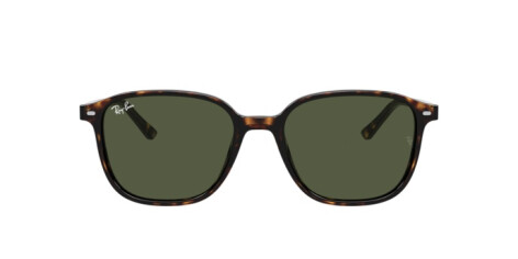 Ray-Ban Leonard RB 2193 (902/31)