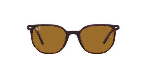 Ray-Ban Elliot RB 2197 (902/33)