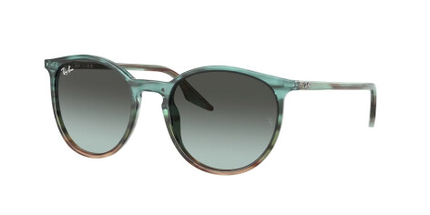 Ray-Ban RB 2204 (1394GK)