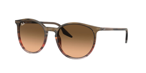 Ray-Ban RB 2204 (13953B)