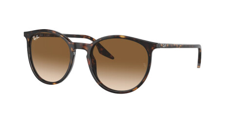 Ray-Ban RB 2204 (902/51)