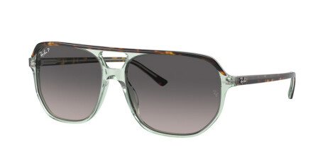 Ray-Ban Bill One RB 2205 (1376M3)