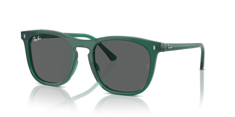 Ray-Ban RB 2210 (6615B1)