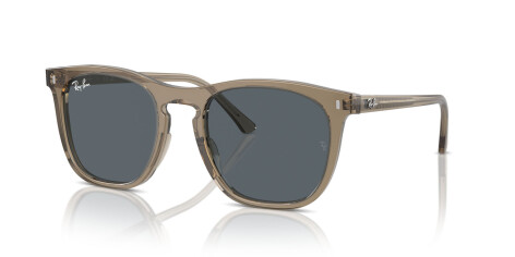 Ray-Ban RB 2210 (6765R5)