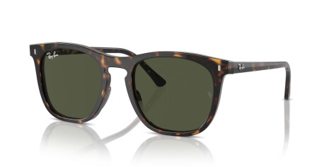 Ray-Ban RB 2210 (902/31)