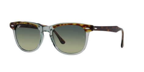 Ray-Ban Eagle Eye RB 2398 (1376BH)