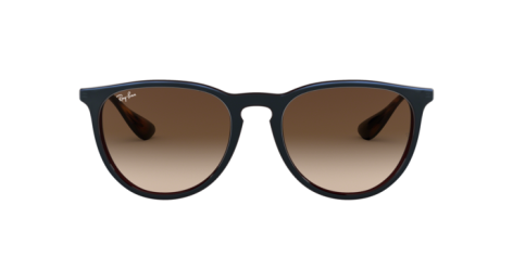 Ray-Ban Erika RB 4171 (631513)