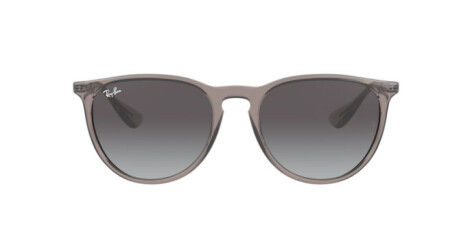 Ray-Ban Erika Color Mix RB 4171 (65138G)