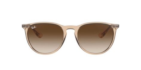 Ray-Ban Erika Color Mix RB 4171 (651413)