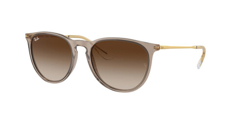 Ray-Ban Erika RB 4171 (674413)