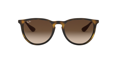 Ray-Ban Erika RB 4171 (865/13)