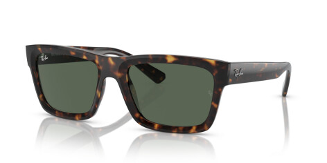 Ray-Ban Warren RB 4396 (135971)