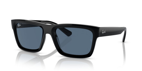 Ray-Ban Warren RB 4396 (667780)