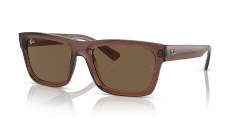 Ray-Ban Warren RB 4396 (667873)