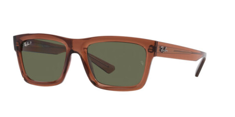 Ray-Ban Warren RB 4396 (66789A)