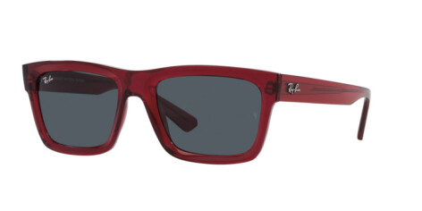 Ray-Ban Warren RB 4396 (667987)