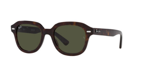 Ray-Ban Erik RB 4398 (902/31)