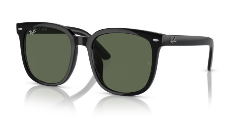 Ray-Ban RB 4401D (601/71)