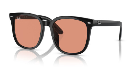 Ray-Ban RB 4401D (601/74)