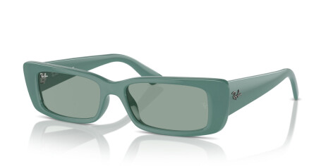 Ray-Ban Teru RB 4425 (676282)