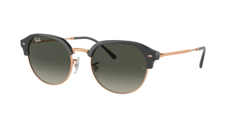 Ray-Ban RB 4429 (672071)