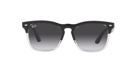 Ray-Ban Steve RB 4487 (66308G)