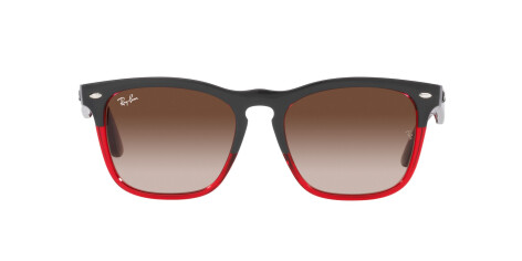 Ray-Ban Steve RB 4487 (663113)