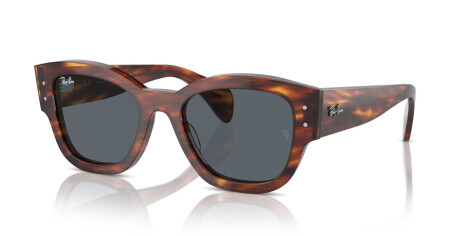 Ray-Ban Jorge RB 7681S (954/R5)