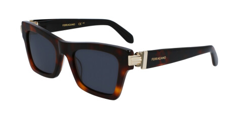 Salvatore Ferragamo SF2013S (240)