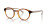 Arnette Allye AN 7242 (2770)