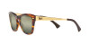 Ray-Ban RB 0707SM (954/G4)