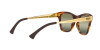 Ray-Ban RB 0707SM (954/G4)