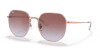 Ray-Ban RB 3680D (9202I8)