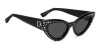 Dsquared2 D2 0092/N/S 206066 (807 IR)