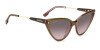 Dsquared2 D2 0134/S 206886 (HKL M2)