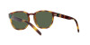 Arnette Barranco AN 4319 (27709A)