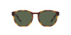 Arnette Barranco AN 4319 (27709A)