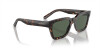 Arnette Cold Heart 2.0 AN 4334 (122271)