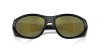 Arnette Ilum 2.0 AN 4342 (29476R)