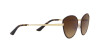 Dolce & Gabbana DG 2280 (132013)