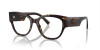 Dolce & Gabbana DG 3377 (502)