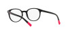 Dolce & Gabbana DG 5093 (501)