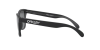 Oakley Frogskins OO 9013 (9013F7)