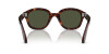 Persol PO 0060S (24/31)