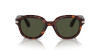 Persol PO 0060S (24/31)