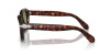 Persol PO 0060S (24/4E)