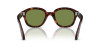 Persol PO 0060S (24/4E)