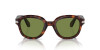 Persol PO 0060S (24/4E)